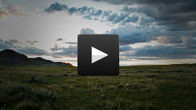 Landscape photo of plains and the sky