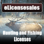 Hunting and Fishing Licenses