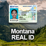 Driver License, Real ID, renewal and status check